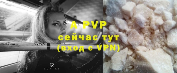 дурь Богданович