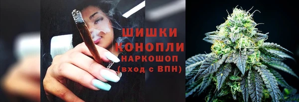 mix Богородицк