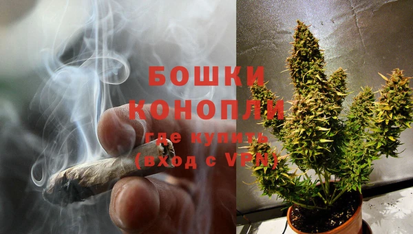 дурь Богданович