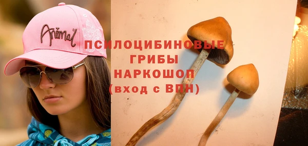 меф Богородск