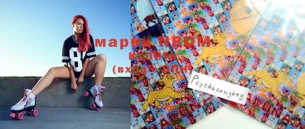 mix Богородицк