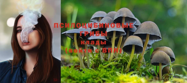 дурь Богданович